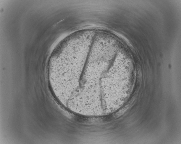 X0000072551375200608041637