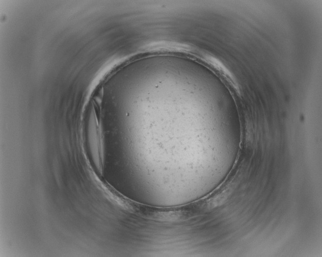 X0000072551376200608041637