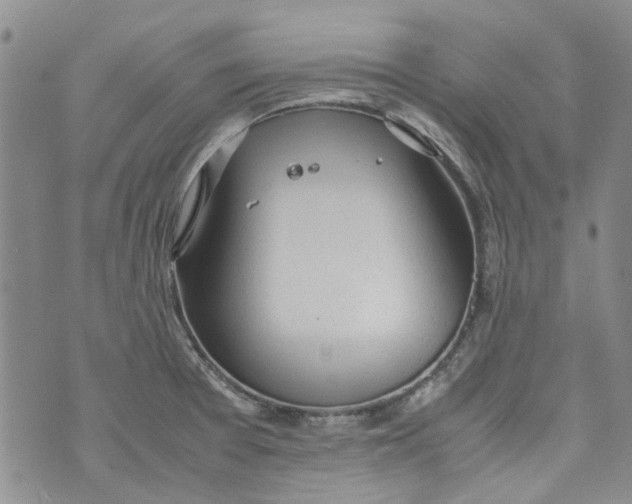 X0000072551377200608041637