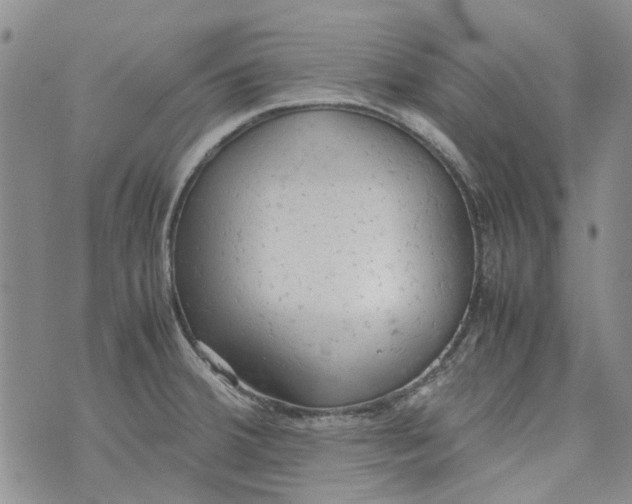 X0000072551380200608041637