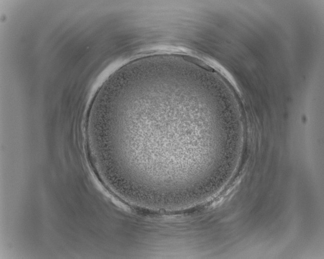 X0000072551381200608041637