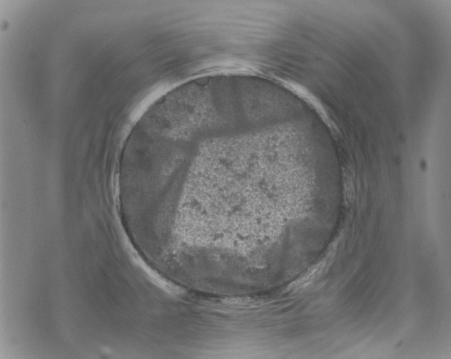 X0000072551383200608041637