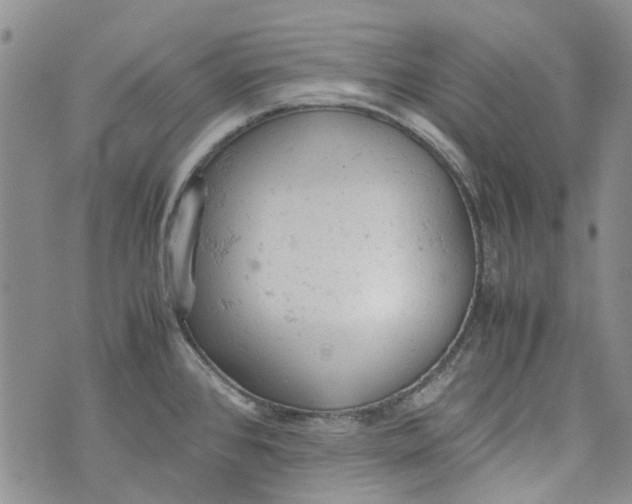 X0000072551384200608041637