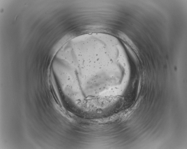 X0000072551386200608041637