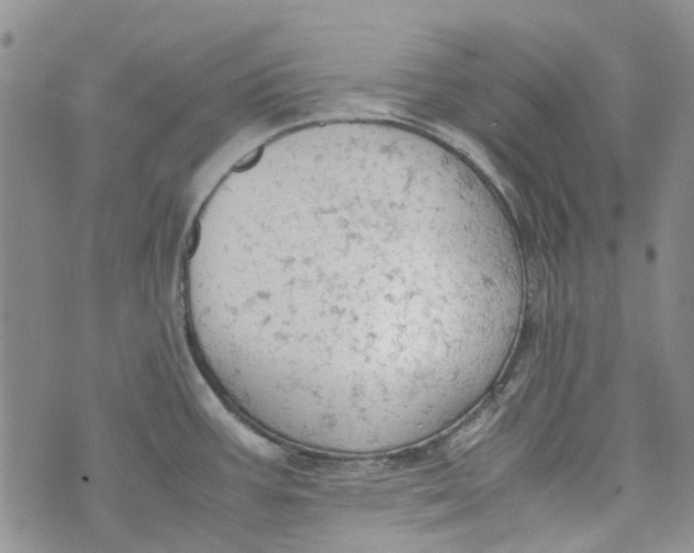 X0000072551387200608041637