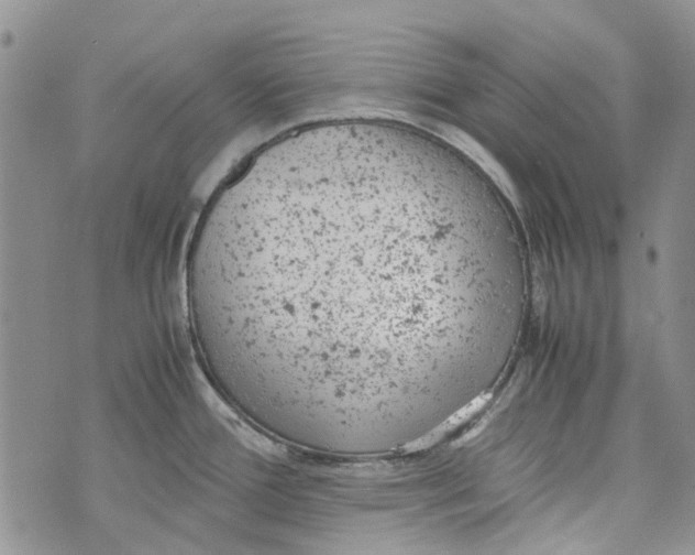 X0000072551388200608041637