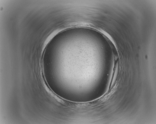 X0000072551389200608041637