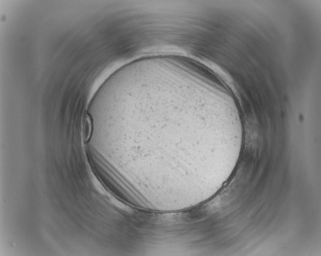 X0000072551390200608041637