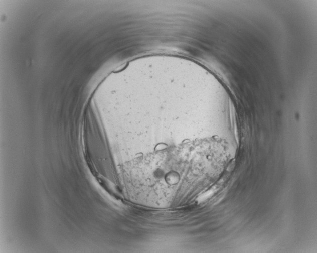 X0000072551391200608041637