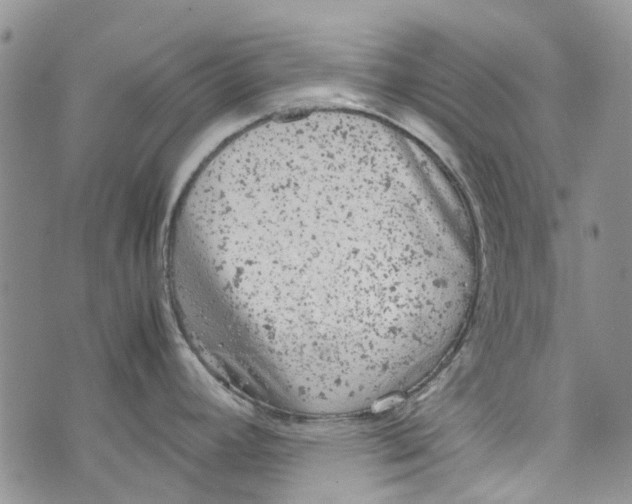 X0000072551392200608041637