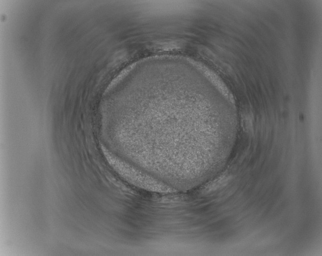 X0000072551393200608041636