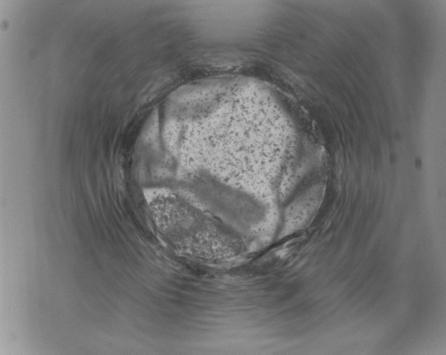 X0000072551394200608041636