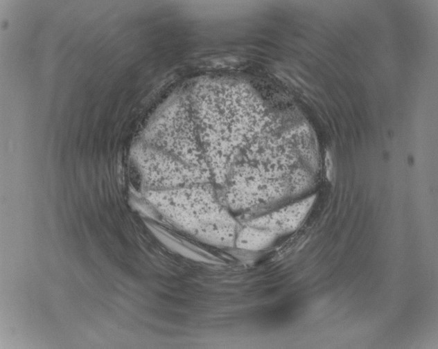 X0000072551395200608041636