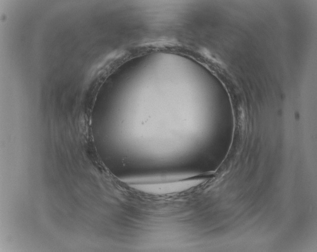 X0000072551398200608041636