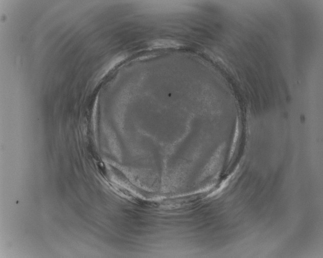 X0000072551401200608041636