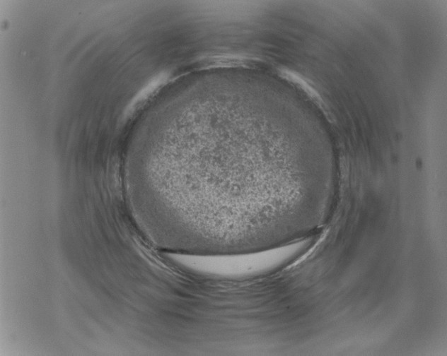 X0000072551403200608041636