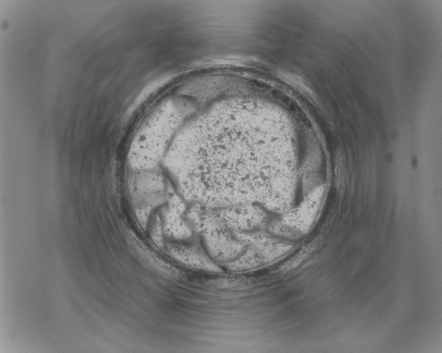 X0000072551404200608041636