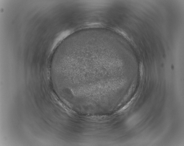 X0000072551405200608041636