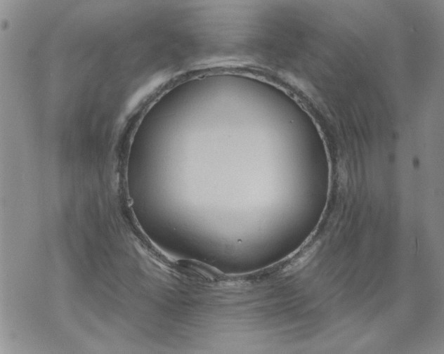 X0000072551406200608041636