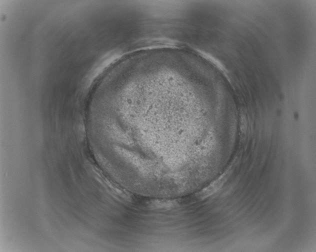 X0000072551407200608041636