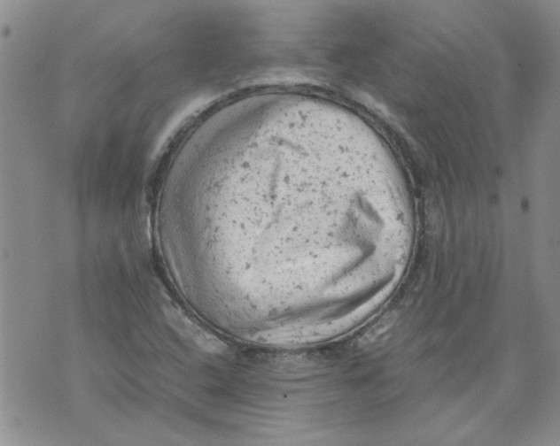 X0000072551408200608041636