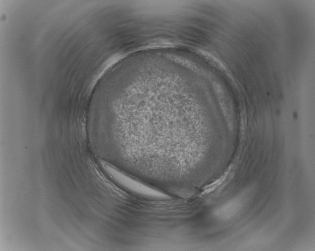 X0000072551409200608041636