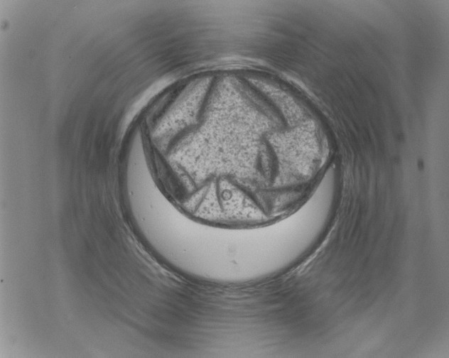 X0000072551410200608041636