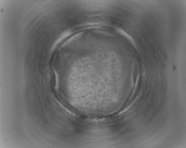 X0000072551411200608041636