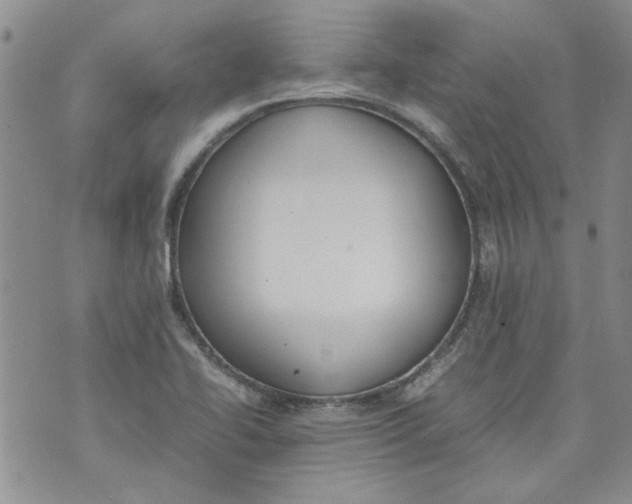 X0000072551414200608041636