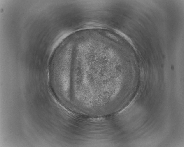 X0000072551415200608041636