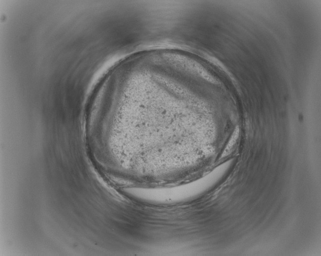 X0000072551416200608041636