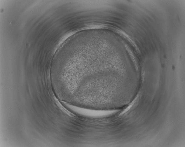 X0000072551417200608041636