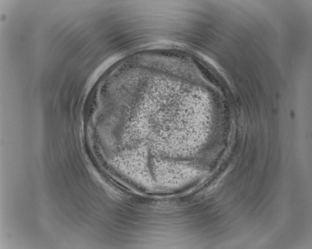 X0000072551418200608041637