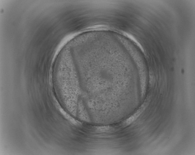 X0000072551421200608041637