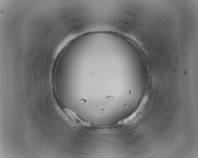 X0000072551422200608041637