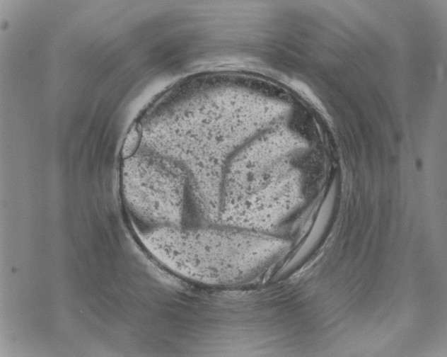 X0000072551424200608041637