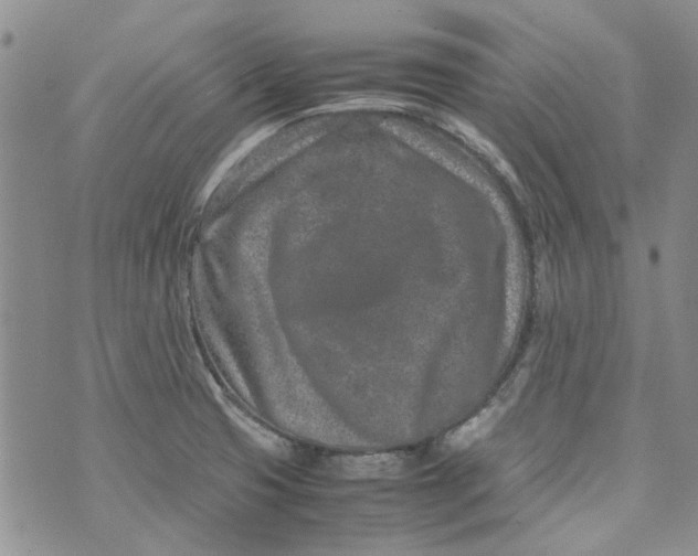 X0000072551425200608041637