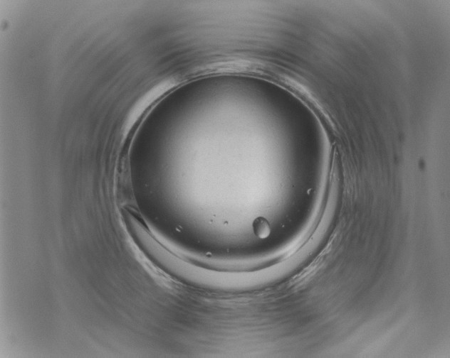 X0000072551426200608041637