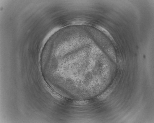 X0000072551427200608041637