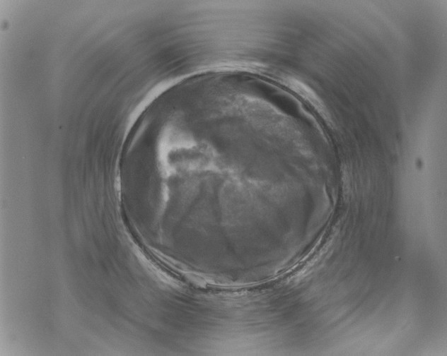 X0000072551428200608041637