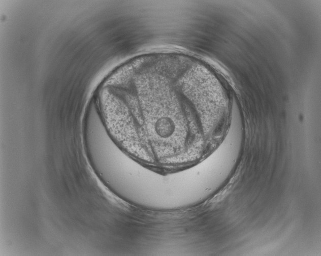 X0000072551430200608041637