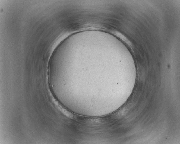 X0000072551431200608041637