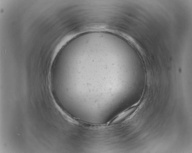 X0000072551432200608041637