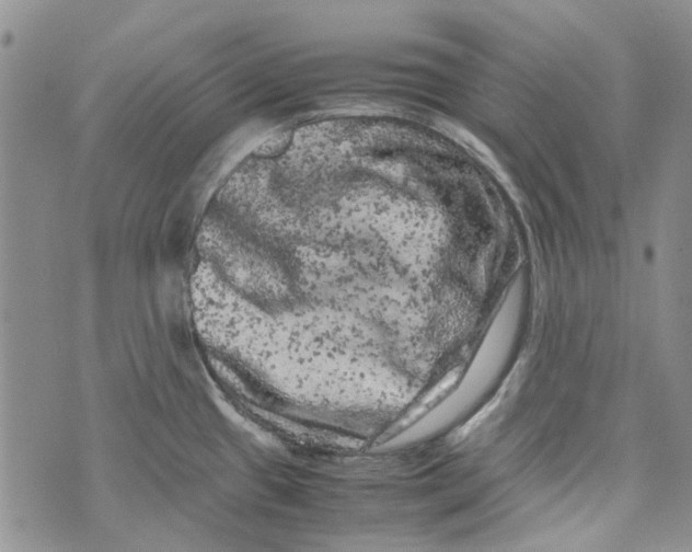 X0000072551433200608041637