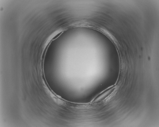 X0000072551434200608041637