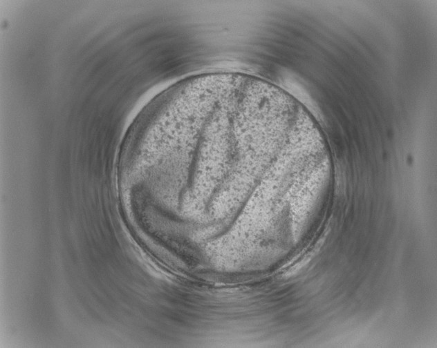 X0000072551436200608041637