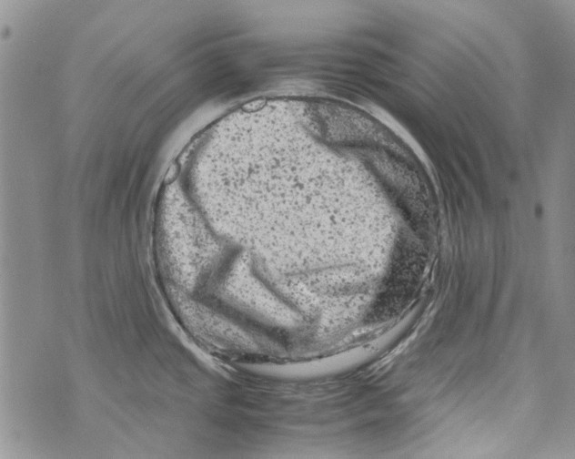 X0000072551437200608041637