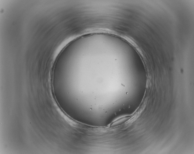 X0000072551438200608041637