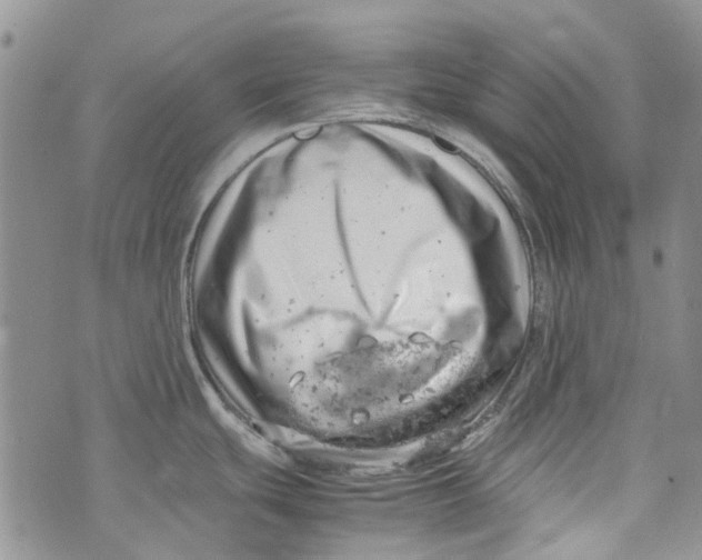 X0000072551439200608041637