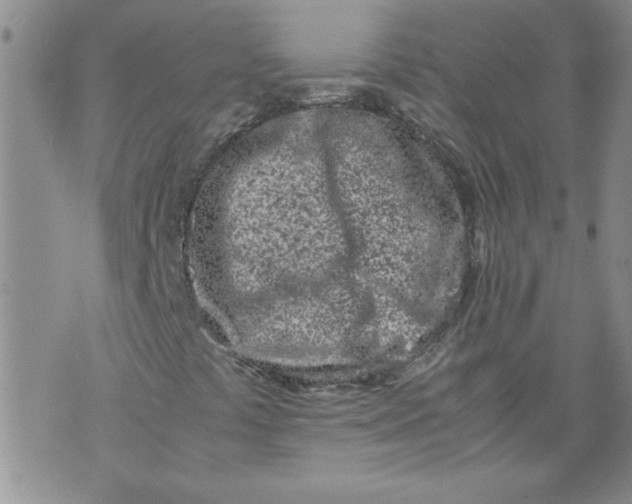 X0000072551441200608041636